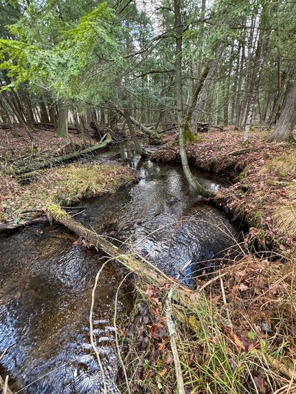 Timberland Property in Manistee County, Michigan