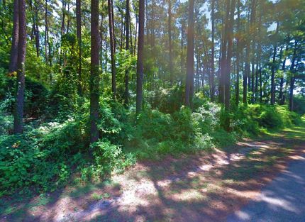 Undeveloped Land in Sabine County, Texas