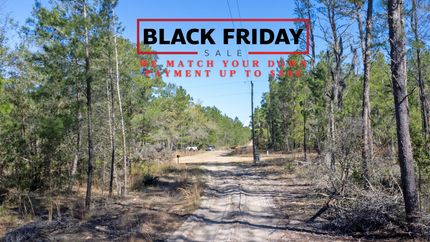 Undeveloped Land in Putnam County, Florida