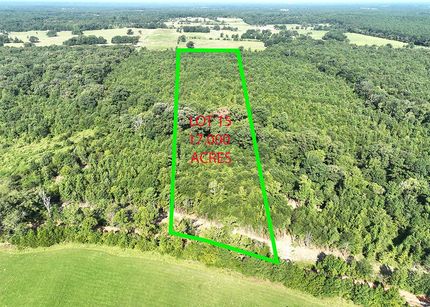 Undeveloped Land in Upshur County, Texas