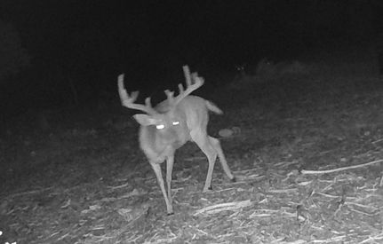 Recreational Property in Edwards County, Texas