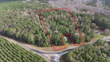 Undeveloped Land in Newton County, Texas