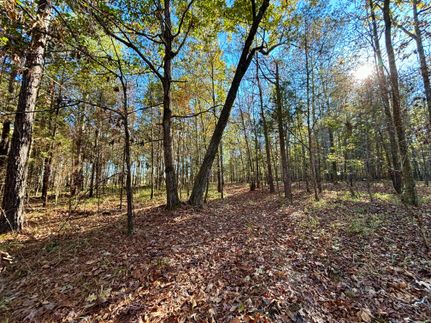 Recreational Property in Chickasaw County, Mississippi