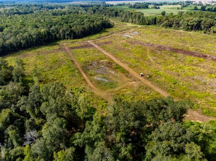 Timberland Property in Jackson County, Florida