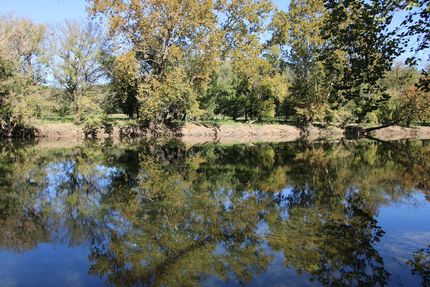 Timberland Property in Warren County, Virginia