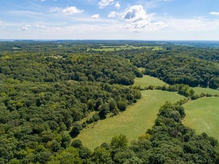 Timberland Property in Ralls County, Missouri