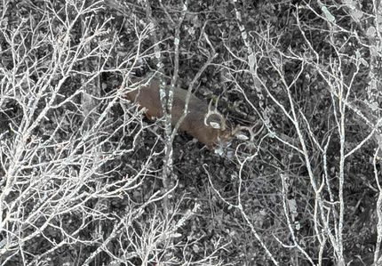 Recreational Property in Richland County, Wisconsin