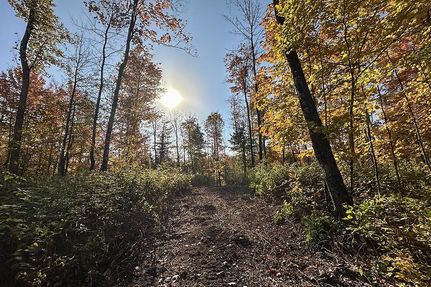 Hunting Property in Ashland County, Wisconsin
