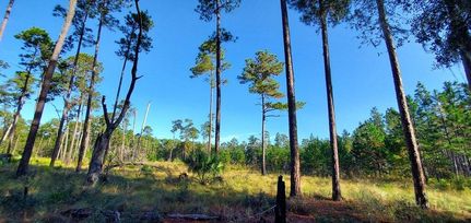Undeveloped Land for sale in Putnam County, Florida