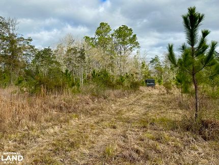 Hunting Property in Hancock County, Mississippi