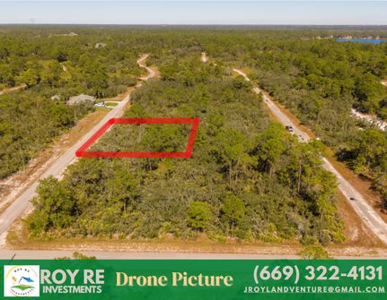 Undeveloped Land in Highlands County, Florida