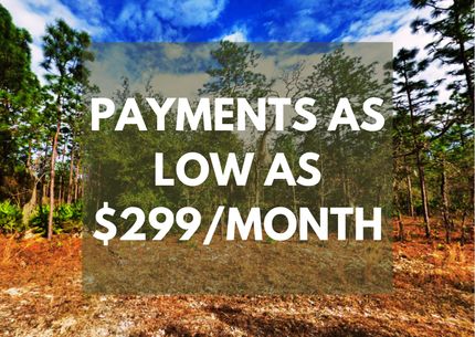 Timberland Property in Putnam County, Florida