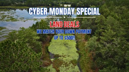 Undeveloped Land in Putnam County, Florida