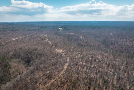 Timberland Property in Texas County, Missouri