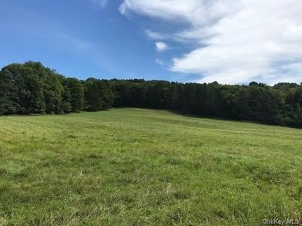 Farm and Ranch for sale in Sullivan County, New York
