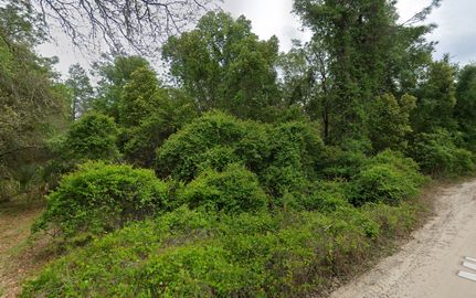 Timberland Property in Putnam County, Florida