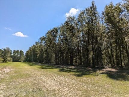 Riverfront Property in Suwannee County, Florida