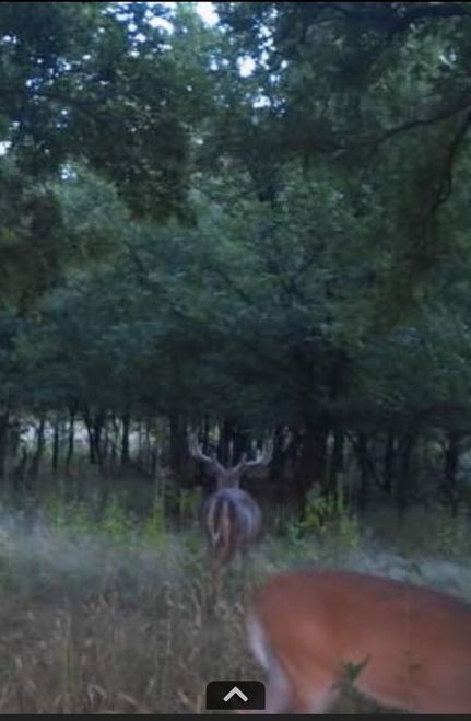 Recreational Property in Roger Mills County, Oklahoma