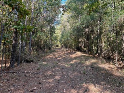 Timberland Property for sale in Franklin County, Mississippi