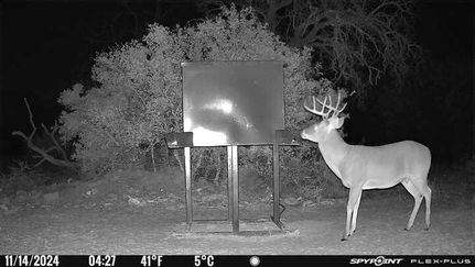 Undeveloped Land in San Saba County, Texas