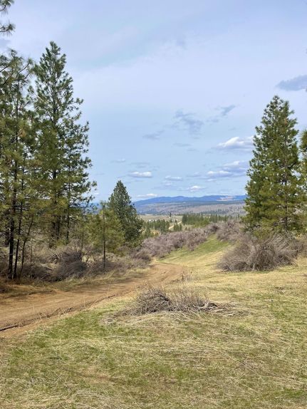 Undeveloped Land in Lincoln County, Washington