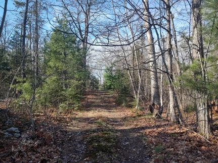 Recreational Property for sale in Marquette County, Michigan