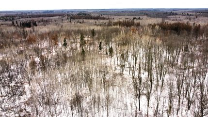 Timberland Property in Price County, Wisconsin