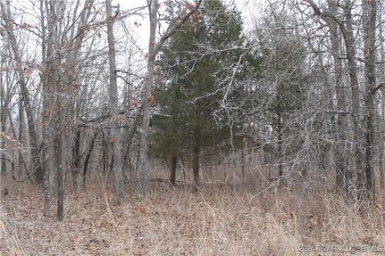 Undeveloped Land in Benton County, Missouri