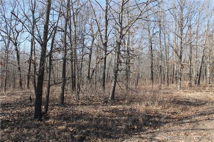 Undeveloped Land in Benton County, Missouri