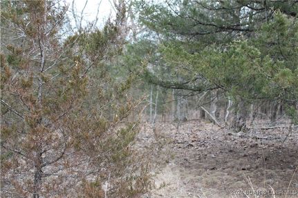 Undeveloped Land in Benton County, Missouri