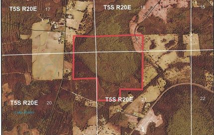 Timberland Property in Union County, Florida