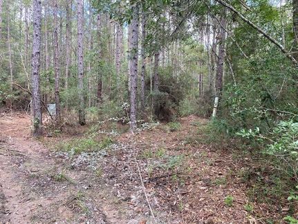 Undeveloped Land in Hardin County, Texas