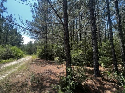Timberland Property in Holmes County, Florida