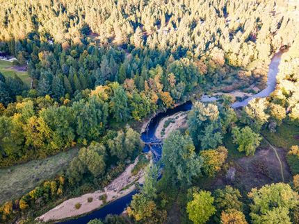 Undeveloped Land in Douglas County, Oregon