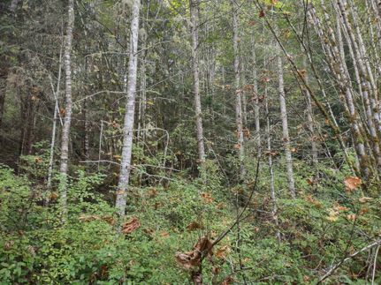 Undeveloped Land in Clallam County, Washington