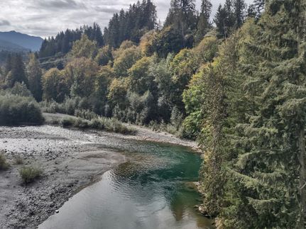 Undeveloped Land in Clallam County, Washington