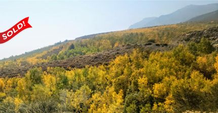 Recreational Property in Elko County, Nevada