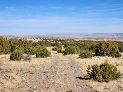 Farm and Ranch in Apache County, Arizona