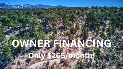 Undeveloped Land in Costilla County, Colorado