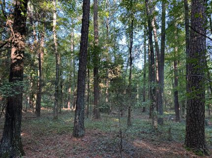 Land for sale in Newberry County, South Carolina