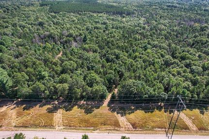 Timberland Property in Juneau County, Wisconsin