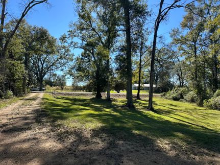 Farm and Ranch in Amite County, Mississippi