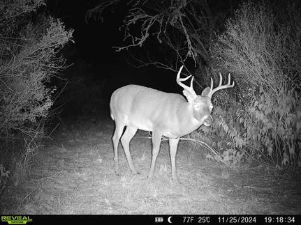 Recreational Property in Duval County, Texas