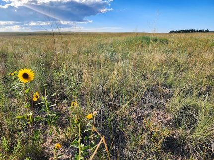 Farm and Ranch in Kimball County, Nebraska