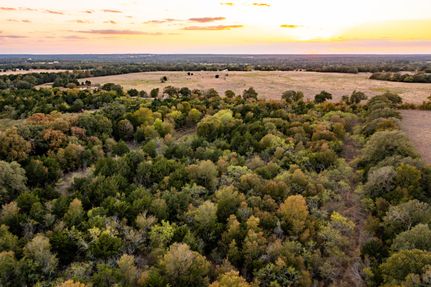 Undeveloped Land for sale in Bastrop County, Texas