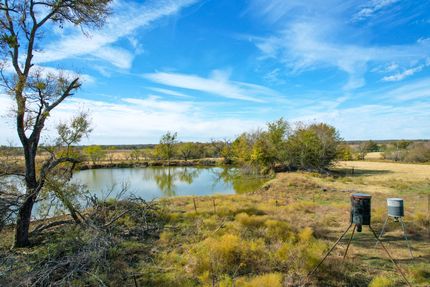 Timberland Property in Falls County, Texas