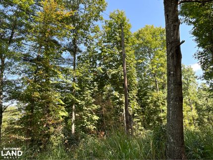 Farm and Ranch in Henderson County, North Carolina