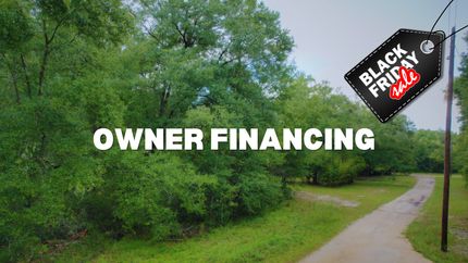 Undeveloped Land in Putnam County, Florida