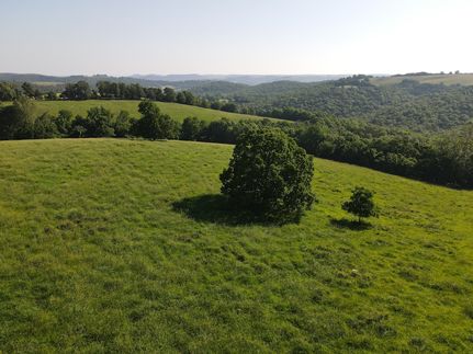 Farm and Ranch in Boone County, Arkansas