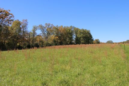 Undeveloped Land in Warren County, Virginia